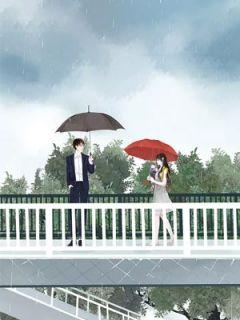 婚途易反目夫妻互捅刀专栏