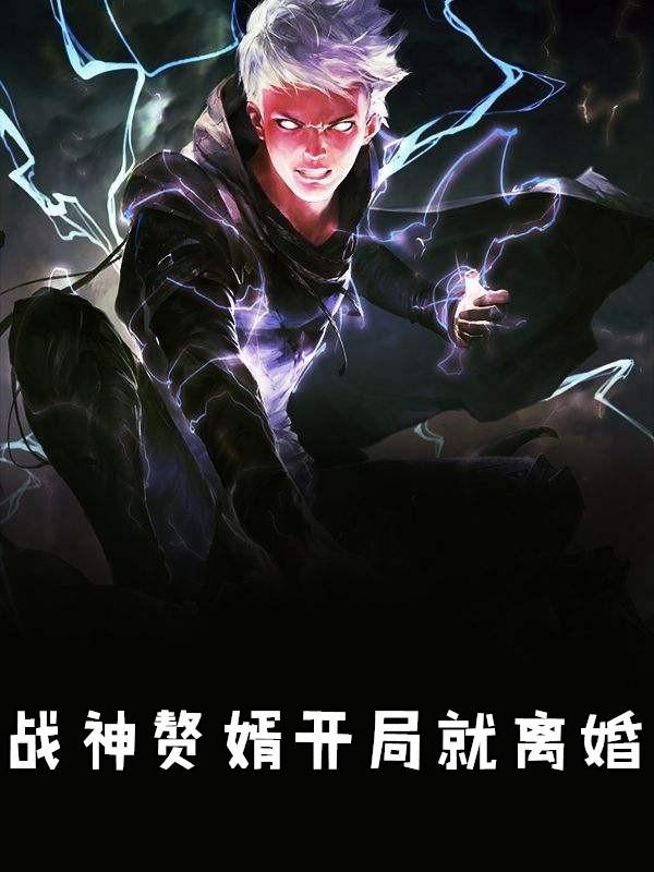 开局从离婚开始的天神赘婿完本