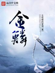 金鳞锦礼
