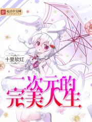 二次元的完美人生评价