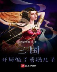 三国开局做了曹操儿子的