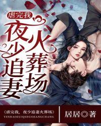 夜少追妻99次完结篇