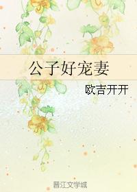 公子娇宠