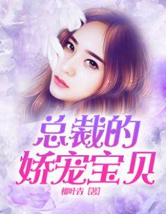 总裁的宠宝贝妻