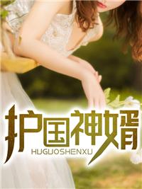 护国神婿完结版