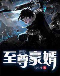 至尊豪婿全集免费观看