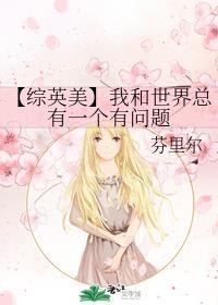 综英美all万人迷