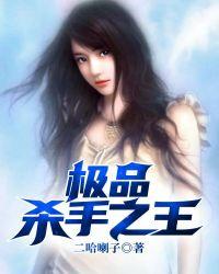 极品杀手txt
