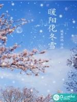 冬雪暖阳电影