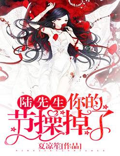 陆先生你娶我啊免费阅读