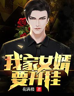 我家女婿要开挂免费朗读