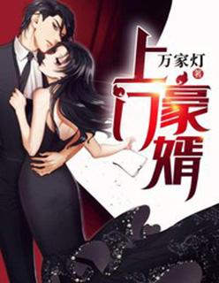 上门豪婿凌天辰全文免费阅读免费