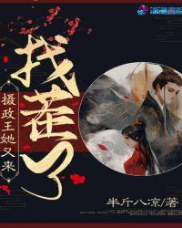 摄政王她又来找茬了起点中文网