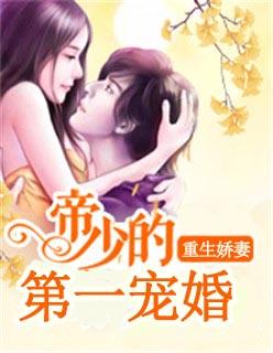 重生帝少娇妻太惹火