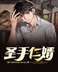 圣手仁婿免费阅读