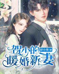 贺少的闪婚暖妻五