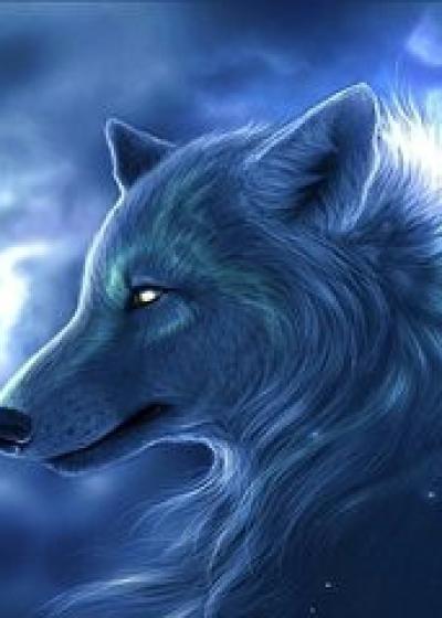 最强冰狼族战士