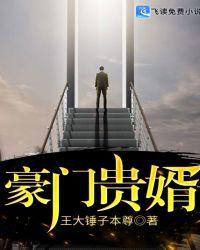 豪门贵婿笔趣阁