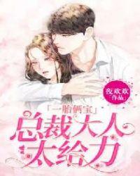 一胎2宝总裁大人给力宠