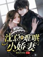 双胞小娇妻超难哄