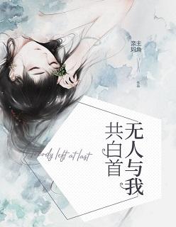无人与我共白首 缤纷