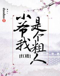 红楼小爷我是个粗人92