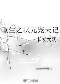 重生之状元宠夫记免费阅读全文