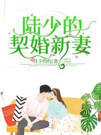 陆少新婚宠妻
