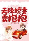 女主角叫叶婉清的