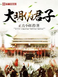 恋听网有声大明伪君子