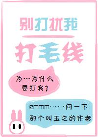 别打扰我打毛线讲的什么