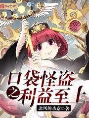 口袋怪盗之利益至上 北风的杀意