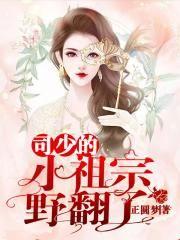 司少的小逃妻
