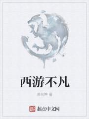 不凡西游