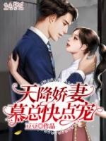 天降娇妻总裁无限宠穆庭琛温言