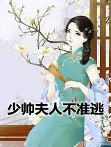 少帅夫人不准逃在线阅读