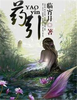 药引sc骨科po