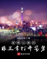 爱情公寓非正常打开姿势TXT