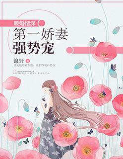 暖婚情深第一娇妻强势宠 讲的什么