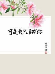 可是我只喜欢你免费阅读