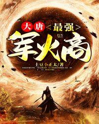 大唐最强军火商土豆小正太