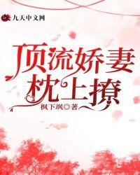 顶流追妻路漫漫百度百科
