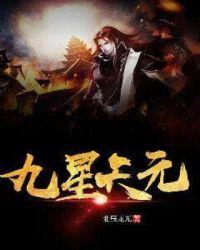 九星天元什么意思