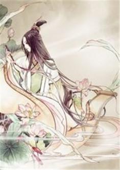 沈七七免费阅读全文