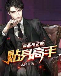 极品校花的贴身高手 木仔