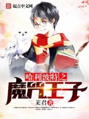 斯莱特林的魔咒王子全文免费阅读