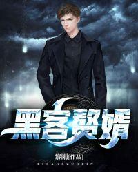 黑客赘婿TXT