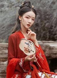 深夏也曾栖孤岛陆时迁阮七夏