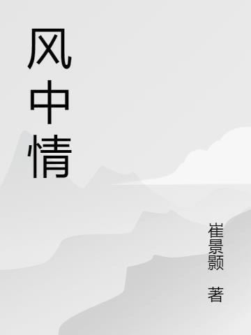 风中情缘分集介绍
