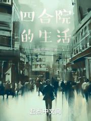 四合院的生活免费完整版